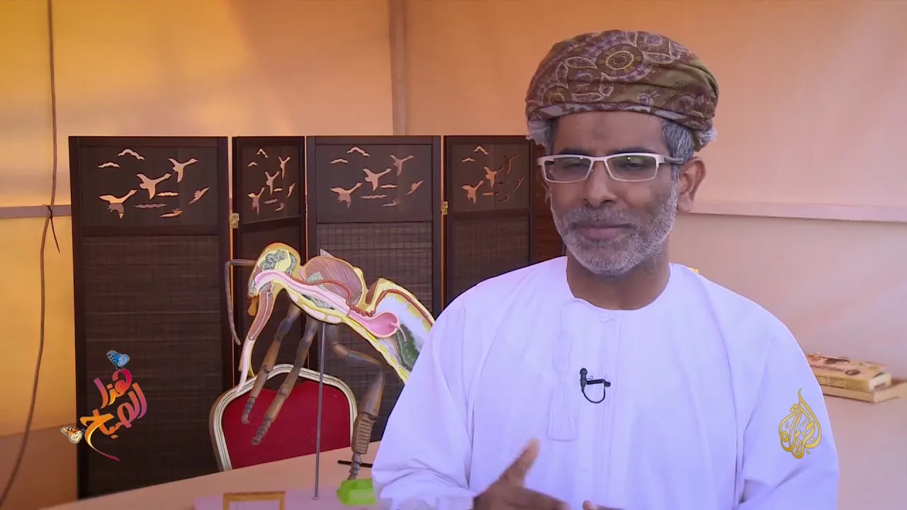 تقرير الجزيرة عن سوق واقف ملتقى الشركات العربية المنتجة للعسل