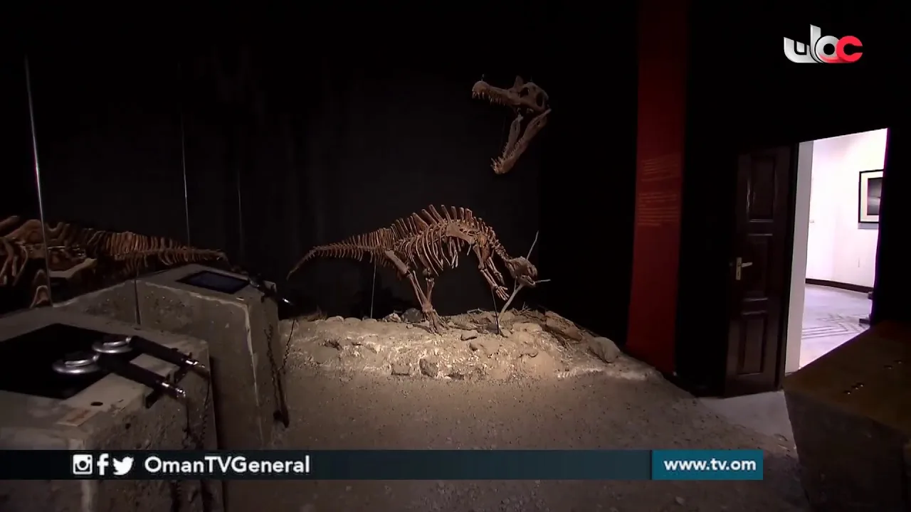 برنامج بيوت: بيت البرندة