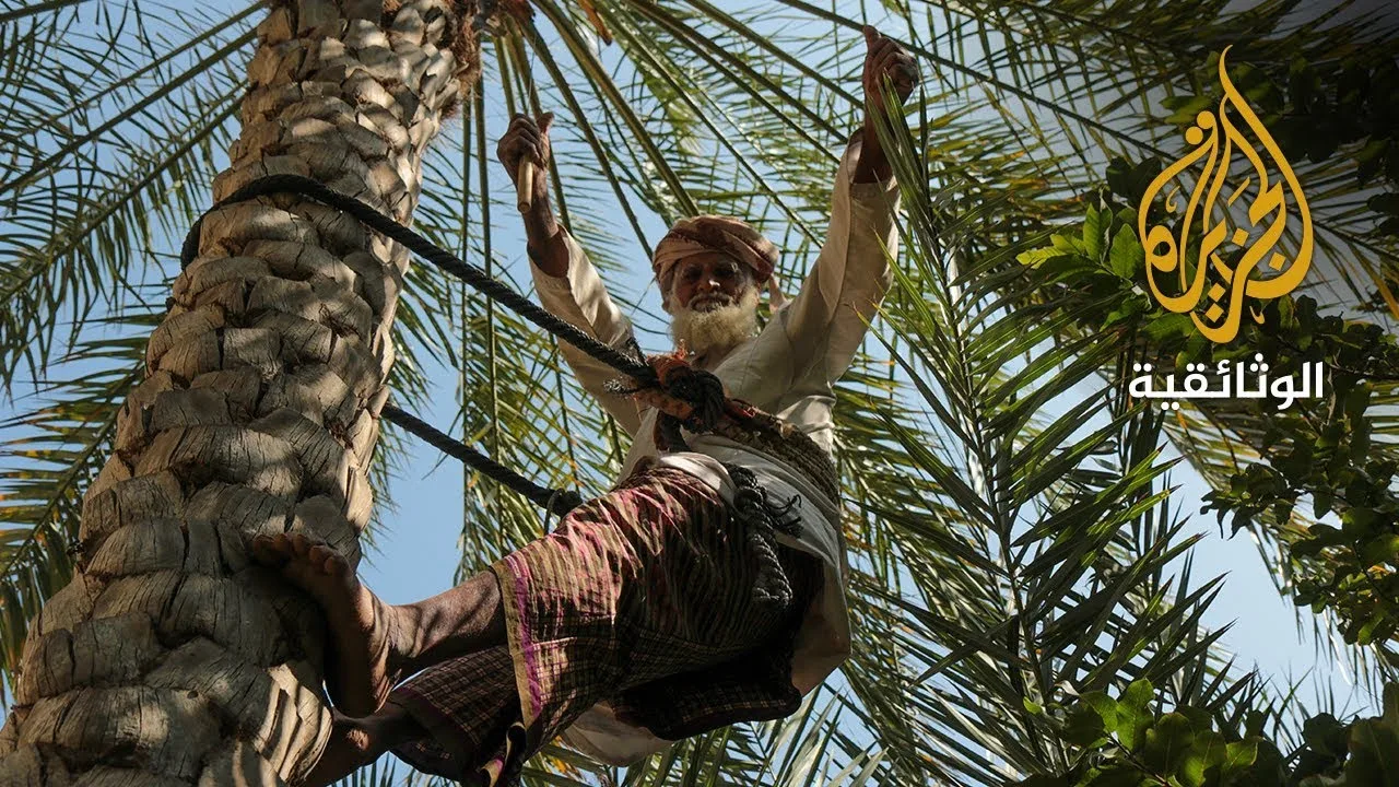 عُمان الساحرة على طريق البخور – الجزء الثاني