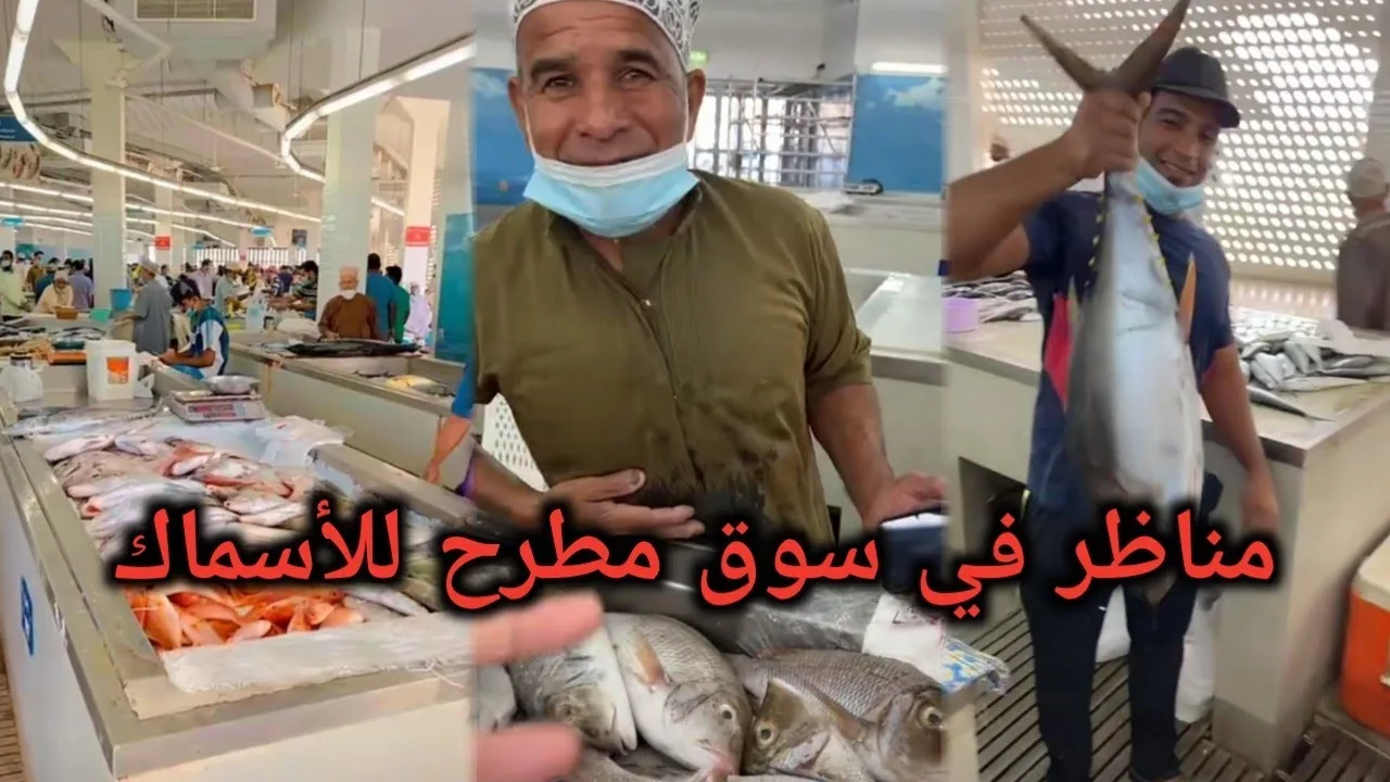 مناظر في سوق مطرح للأسماك | محمد المخيني