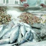 توعية الباعة في سوق الأسماك والخضراوات والفواكه بمطرح بالممارسات…